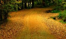 于灵魂深处永恒的风景