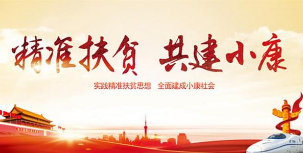 构成具有精确的扶贫