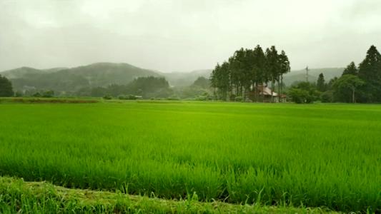 乡村