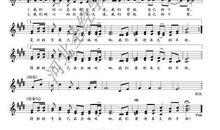 我走过的路都是诗