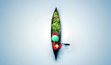 最后的馈赠是坚强