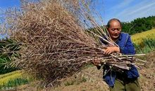 留守老人的幸福