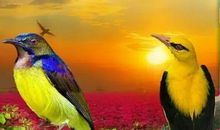 人生路上，感谢有你们