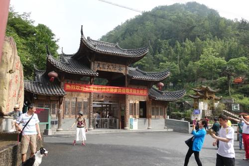 林班漂流