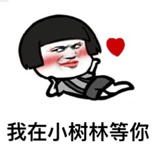 我喜欢这个树林。