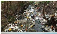 地球母亲在呻吟