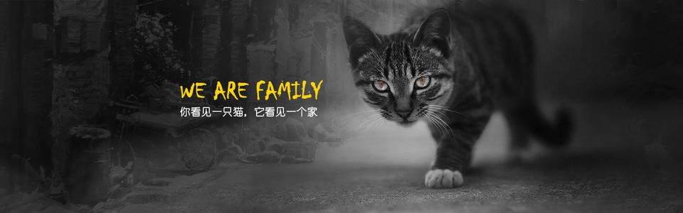 我的年轻人有一种善良的眼睛