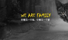 我的青春里有慈祥的眼神