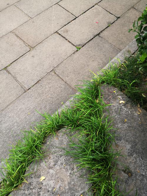 放纵
