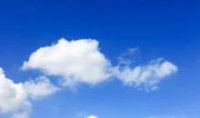 关爱，在那个夏天