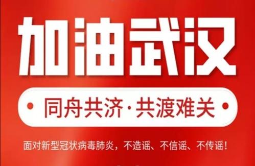 写给蝙蝠的信
