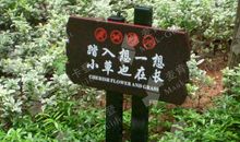 宁受委屈不失文明