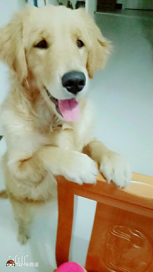爱我温暖