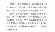 我变成了什么作文300字三年级