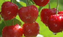 富有诗情画意的妈妈