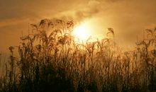 人生处处充满精彩