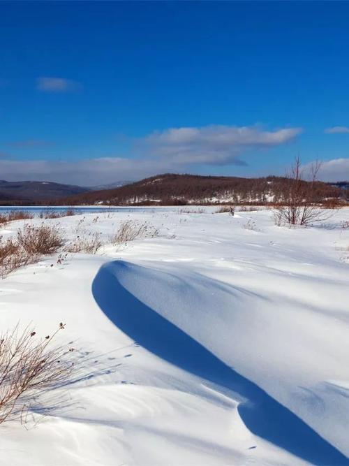 雪鱼