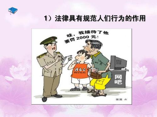 遵守法律