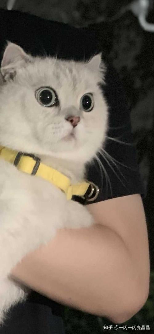 我为什么这么好？