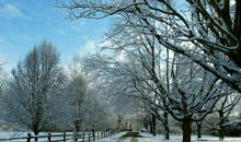 上海的冬天_900字