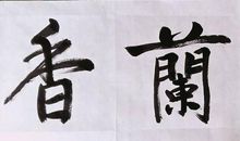 我心中的书法情结