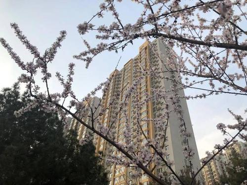 及时隐藏的温暖