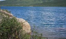 有些爱永不褪色