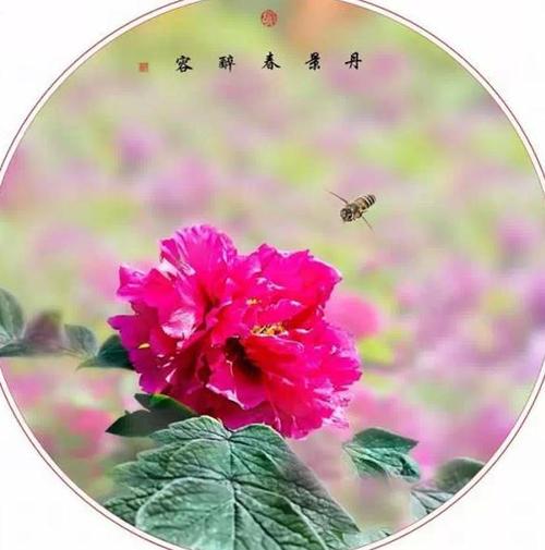 是的，你，滋润我的心