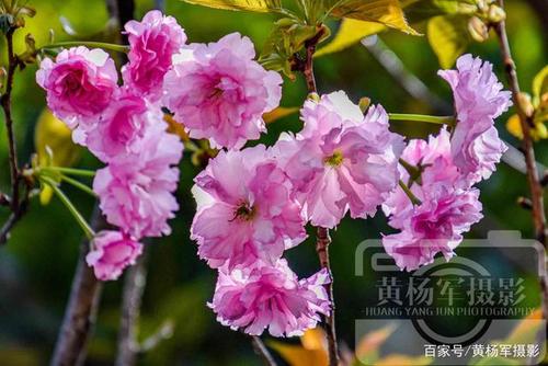 一个移动的风景