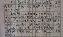 有一种力量作文