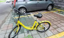 同一辆单车，同一个时代