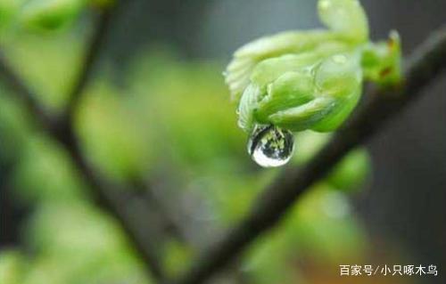 笑和泪水，保湿我的心