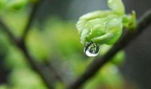 笑和泪，滋润我的心田