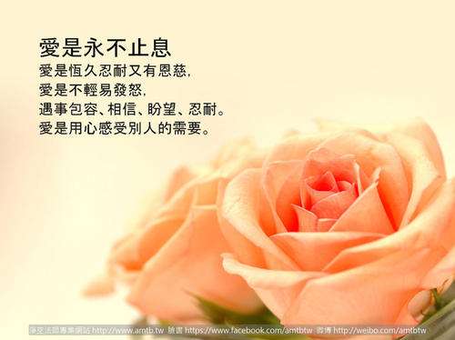 幸福需要表达