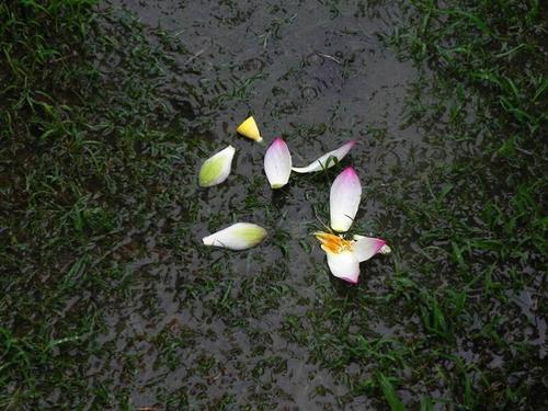 悠闲地听沉默