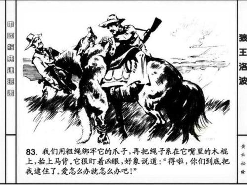 狼王罗