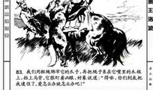 狼王洛波读后感