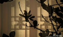 难忘那一抹幽香