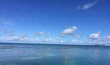 《随风飘散》诗歌