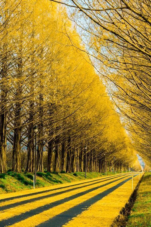 生活风景