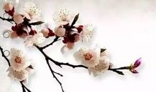 我发现了一颗善良的心