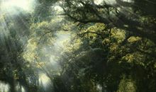 家乡的惬意生活