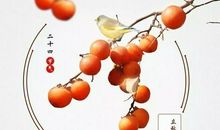 我也想要清辉万里