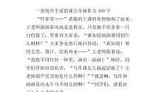 一节别开生面的作文课