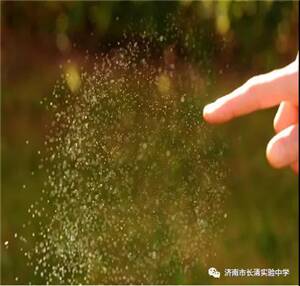 这个假期最美的时刻