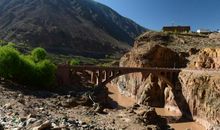 与乌嘴一起走过的日子