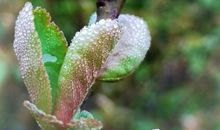 那深沉的爱，滋润了我的心田