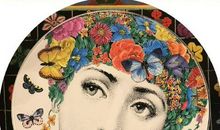 小草眼中的世界