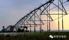 那桥，滋润了我的心田