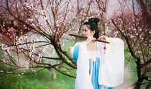 茉莉悠悠醉流年